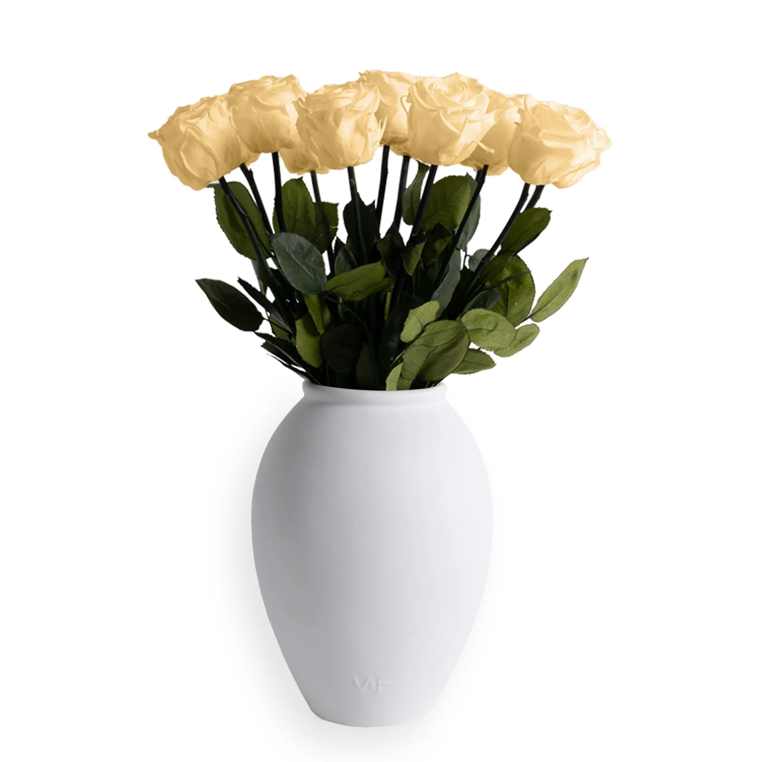 Amphora Porcelain Vase - Image 13