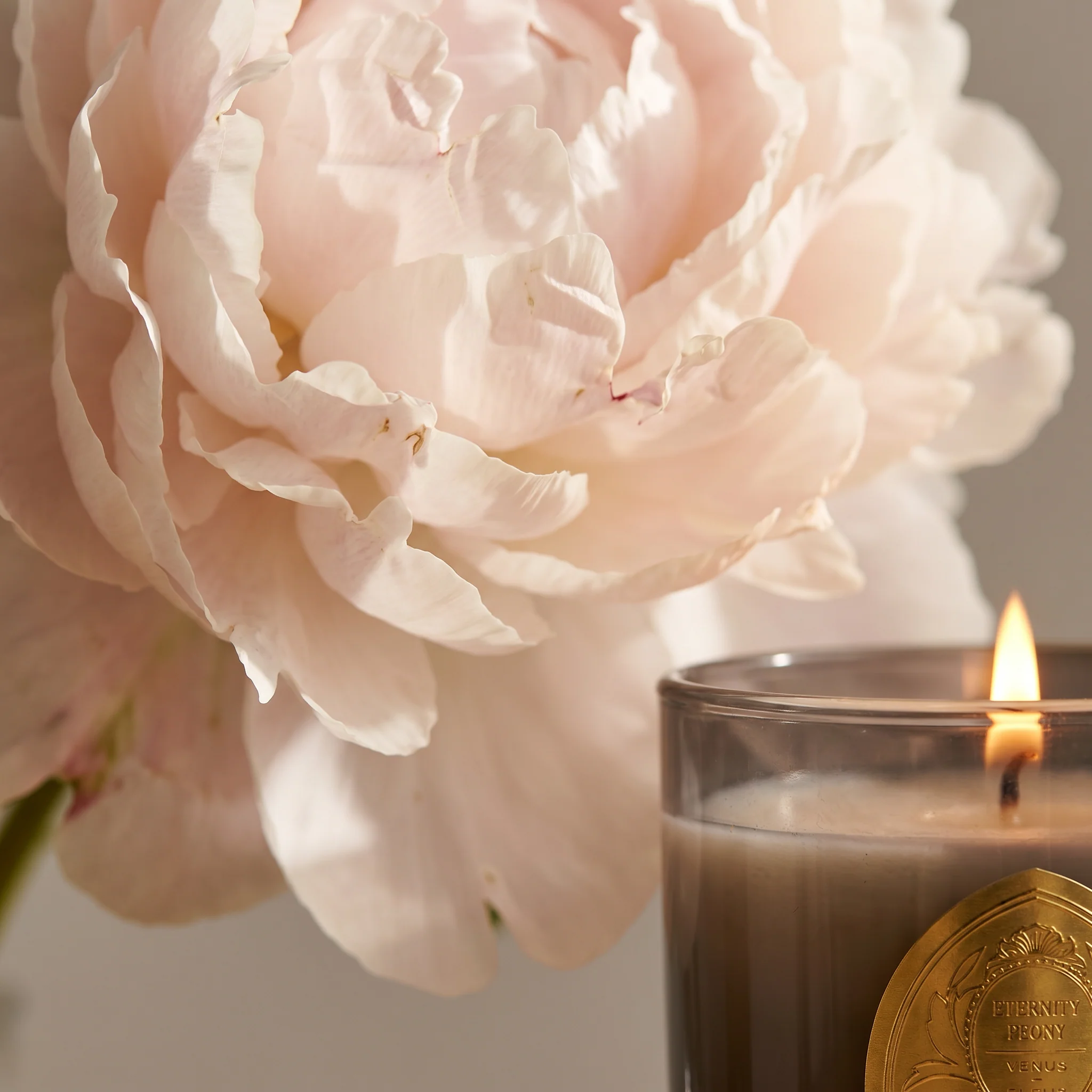 Eternity Peony Candle - Image 7