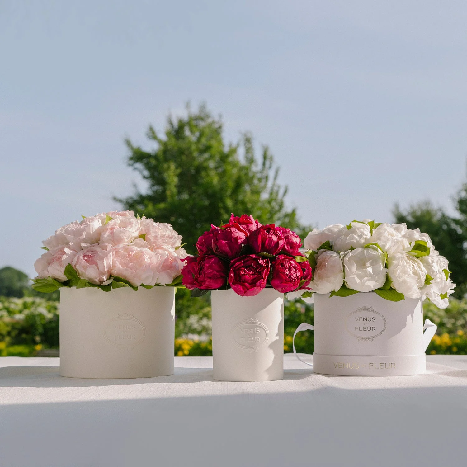 Fleura Porcelain Vase - Image 7
