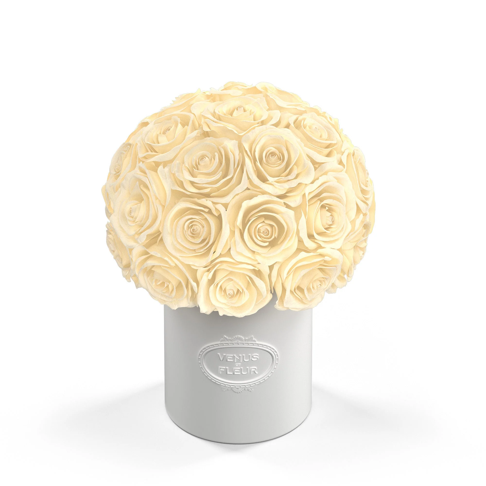 Fleura Porcelain Vase - Image 14