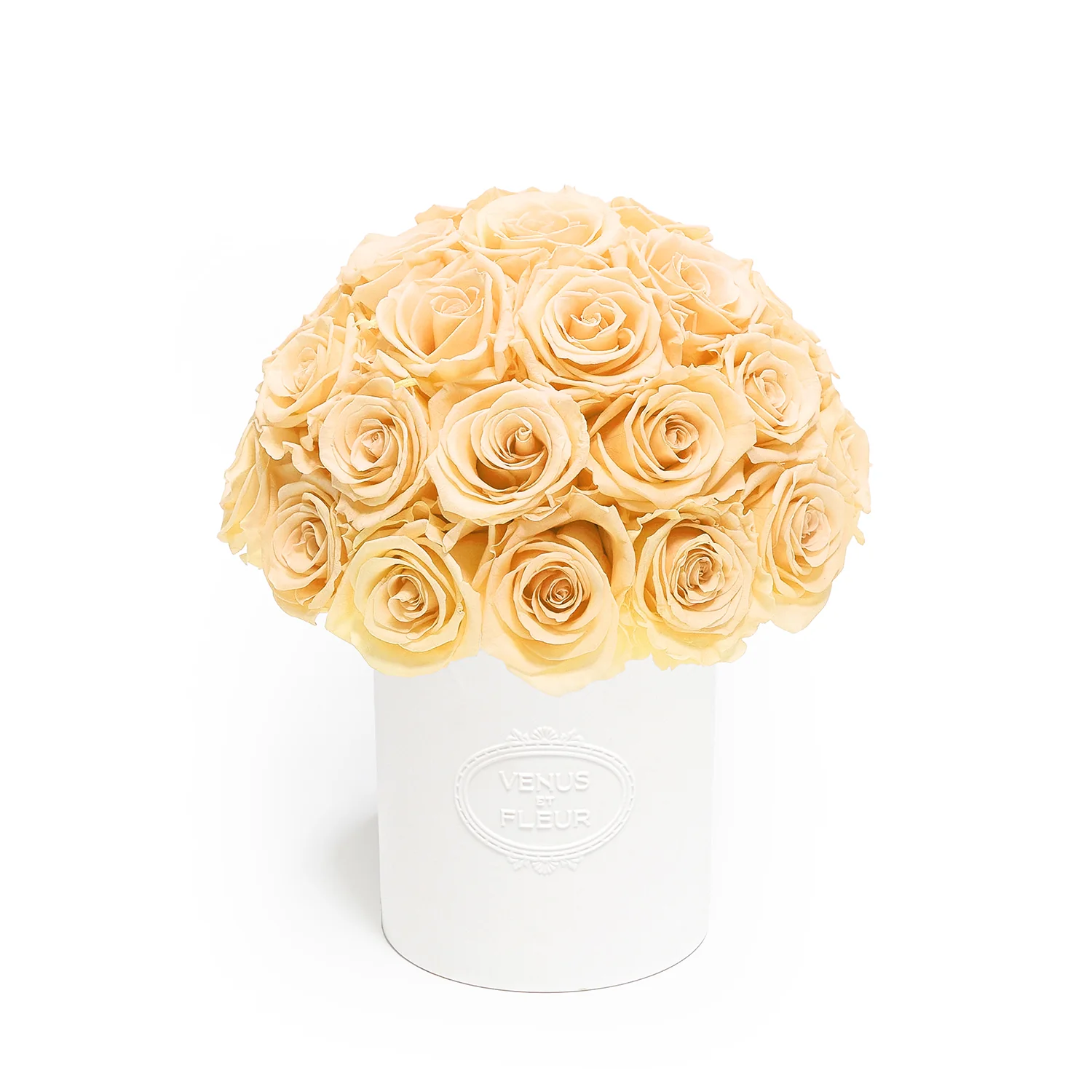 Fleura Porcelain Vase - Image 28