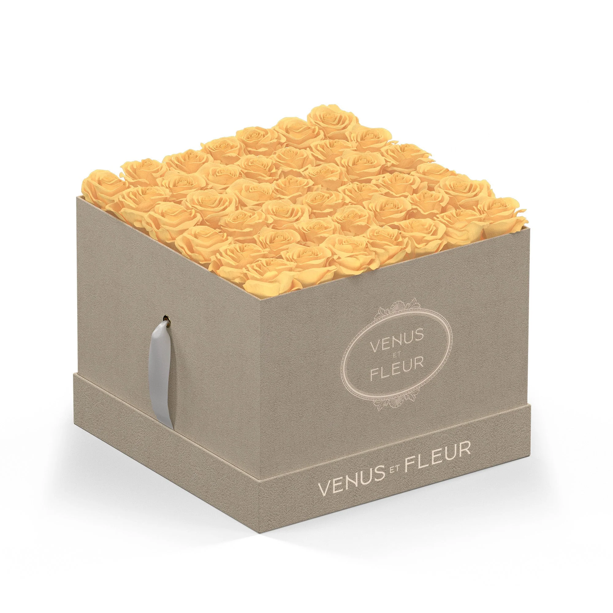 Large Square - Image 3