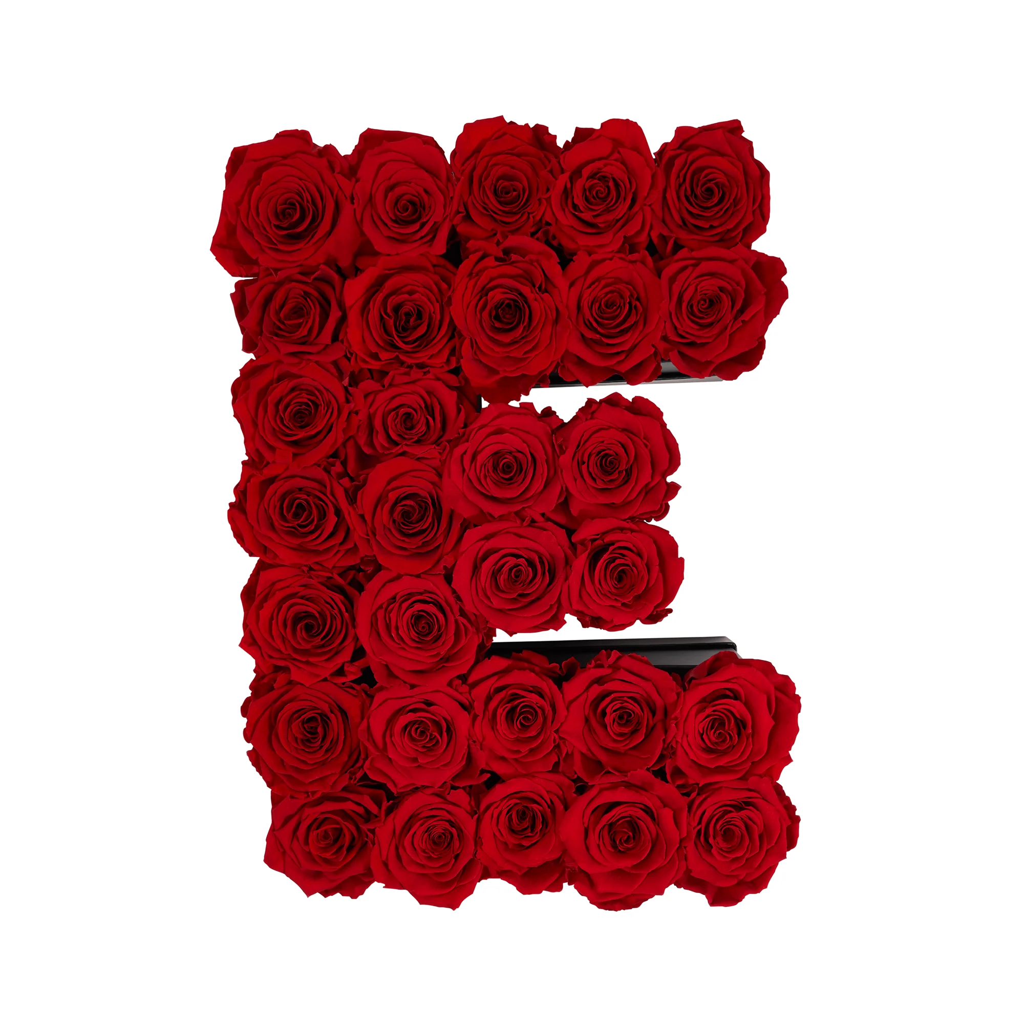 Le Grand Letter - E - Image 14