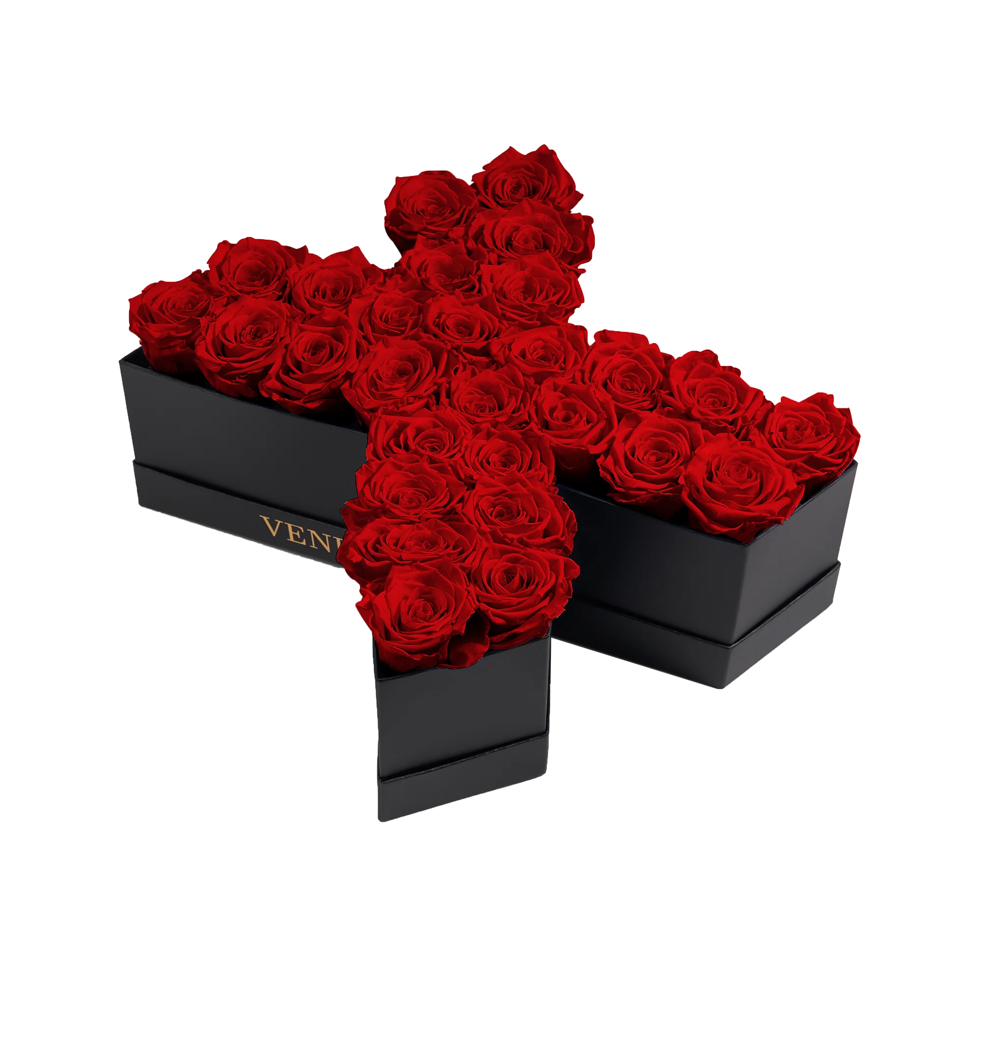 Le Grand Letter - X - Image 2