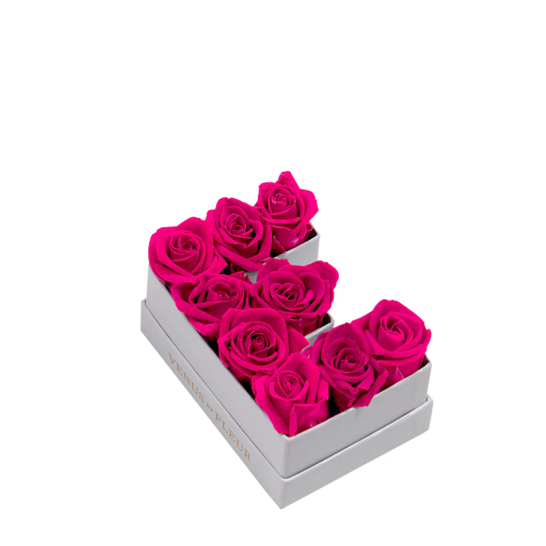 Le Mini Letter - E - Image 2
