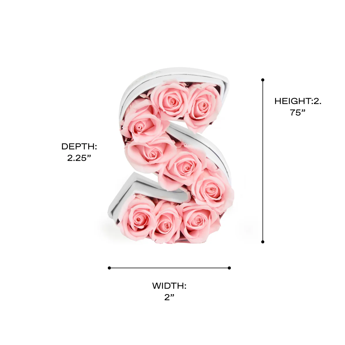Le Mini Letter - S - Image 12