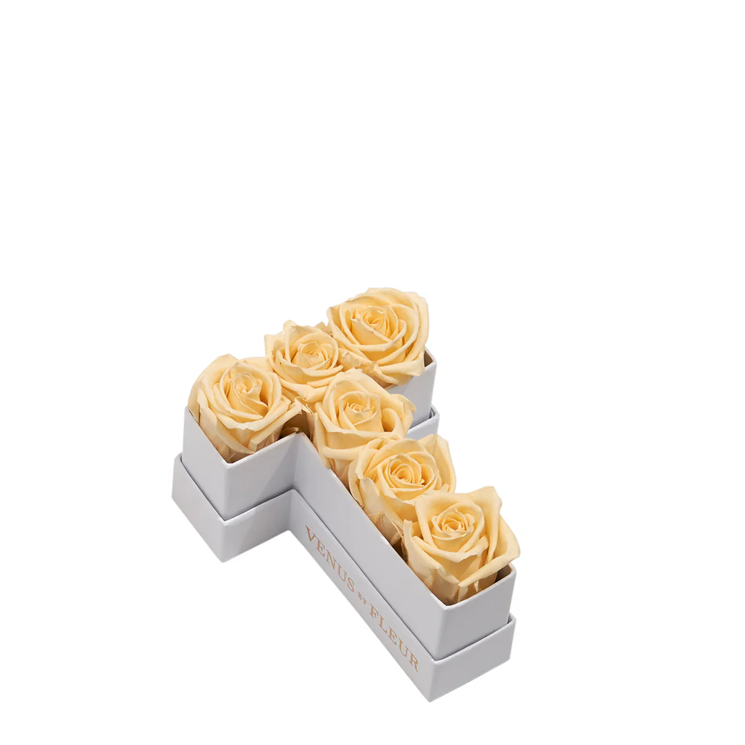 Le Mini Letter - T - Image 5