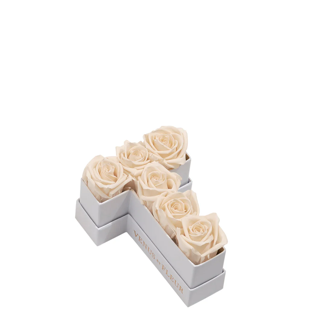 Le Mini Letter - T - Image 6