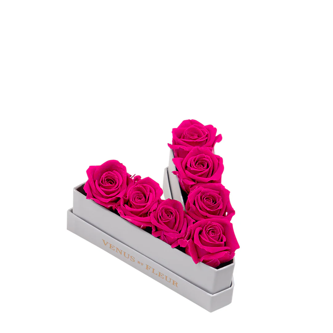 Le Mini Letter - V - Image 5