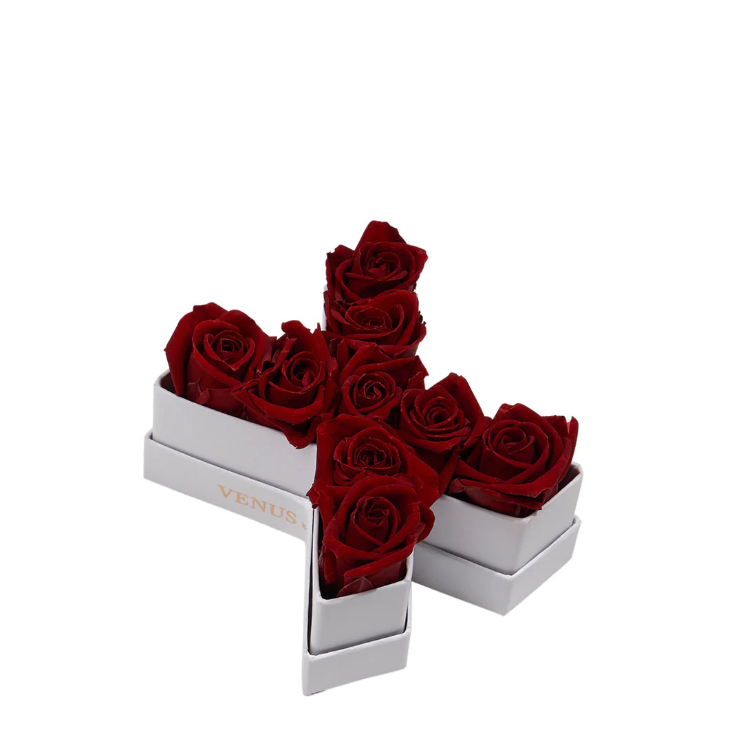 Le Mini Letter - X - Image 5