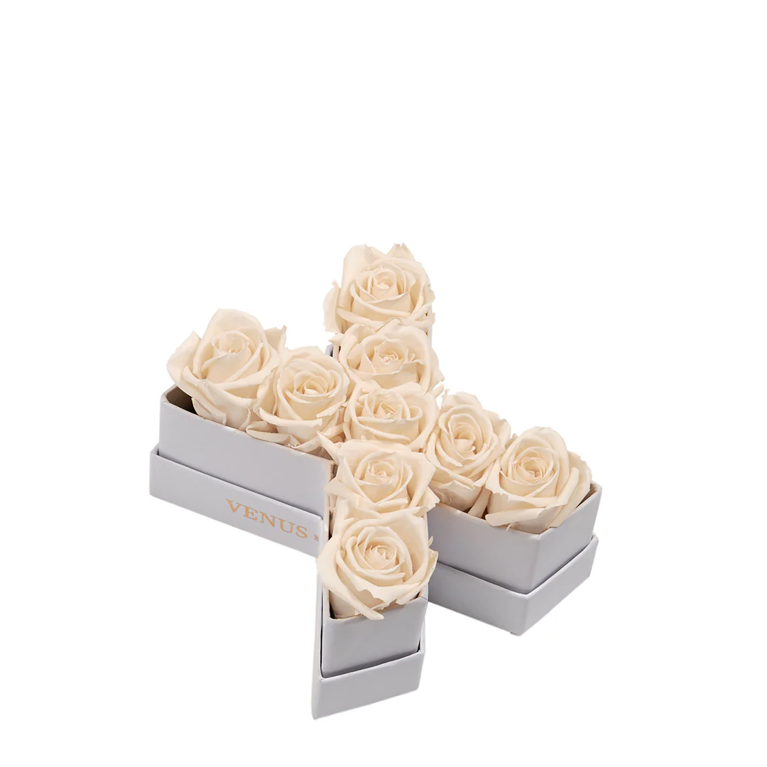 Le Mini Letter - X - Image 6