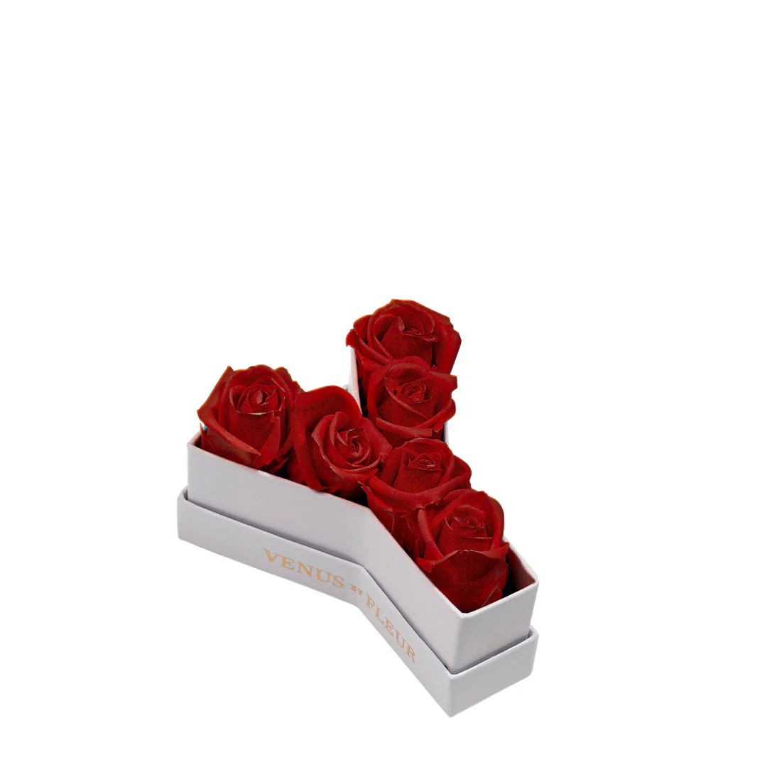 Le Mini Letter - Y
