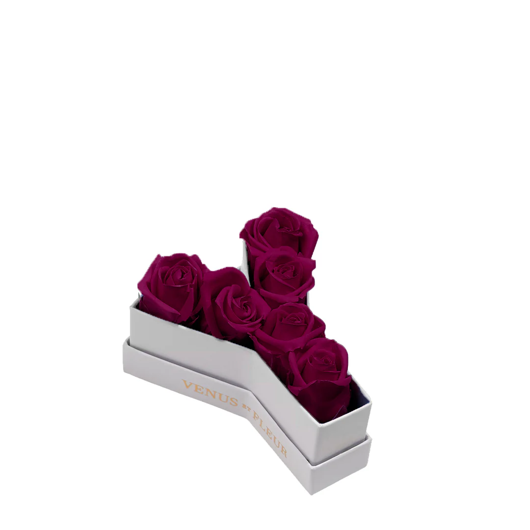 Le Mini Letter - Y - Image 4