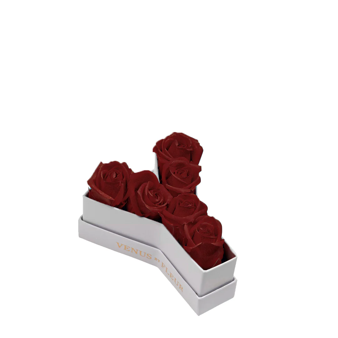 Le Mini Letter - Y - Image 5
