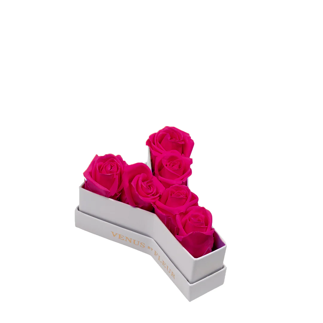 Le Mini Letter - Y - Image 6