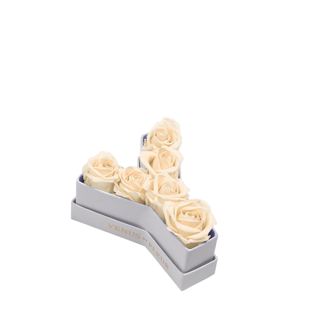 Le Mini Letter - Y - Image 8