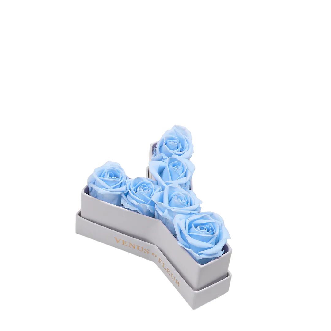 Le Mini Letter - Y - Image 9