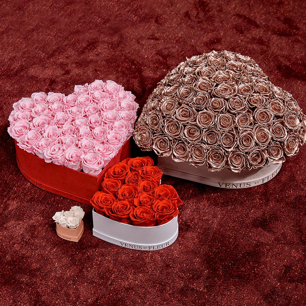 Le Plein Heart - Image 7
