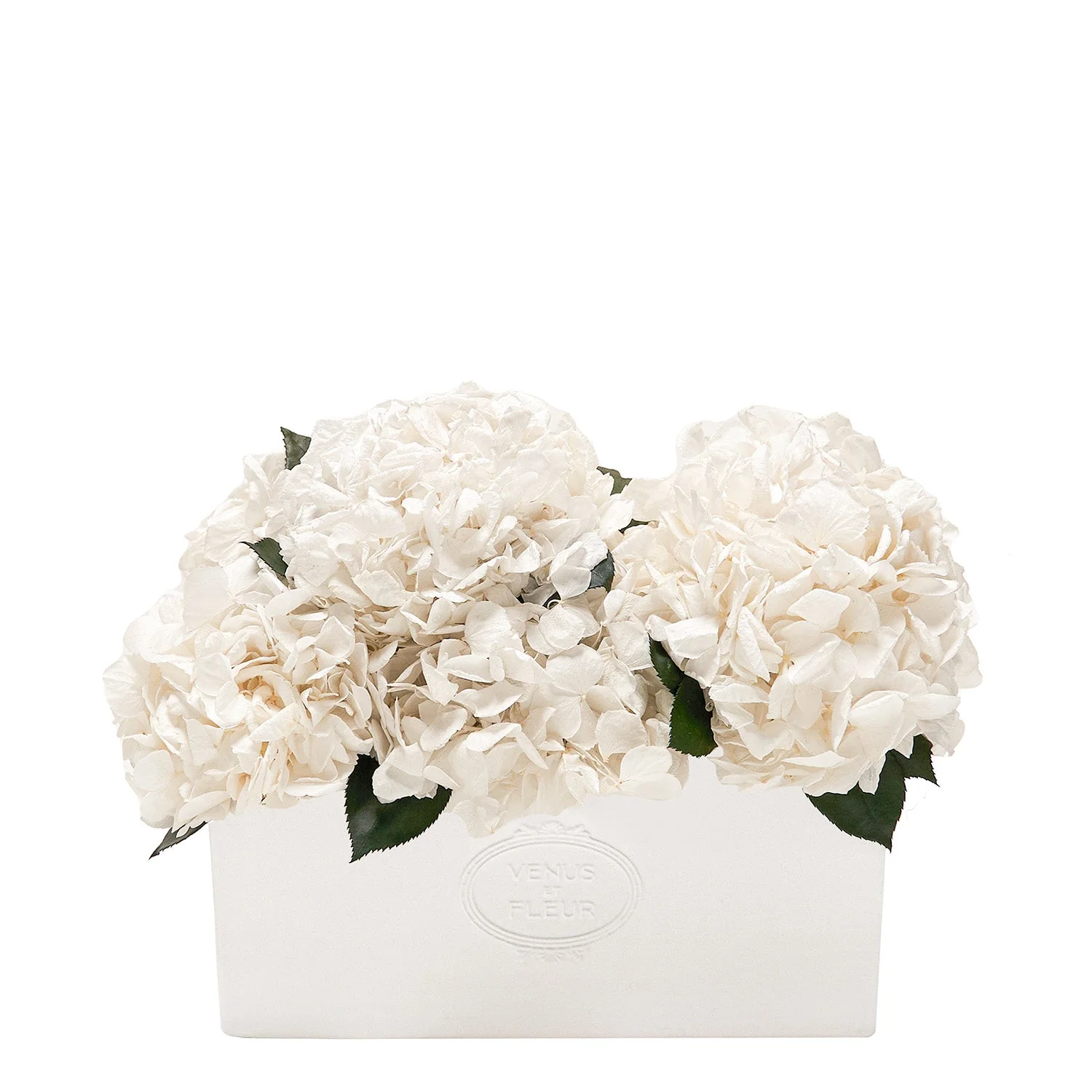 Serene Porcelain Vase