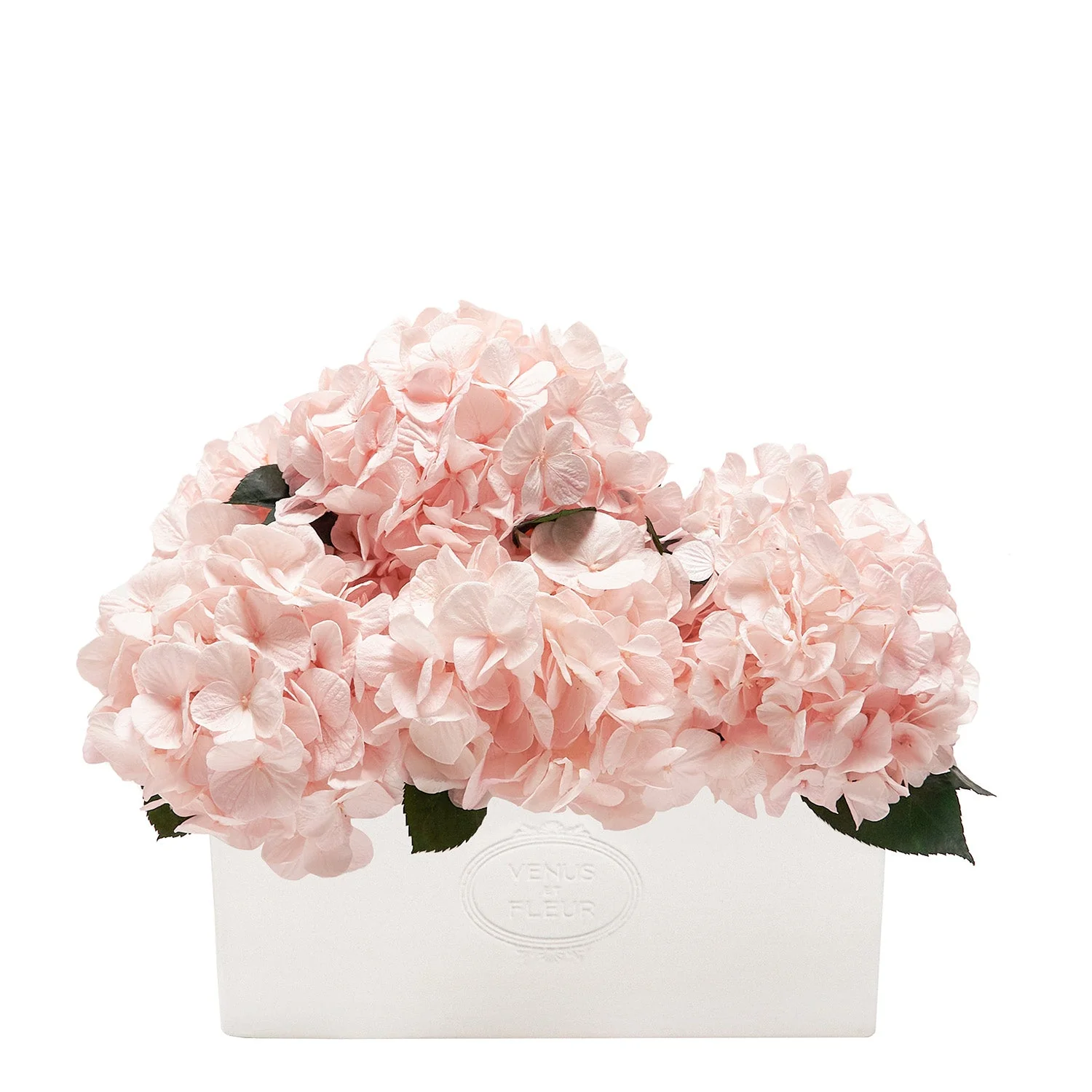 Serene Porcelain Vase - Image 2