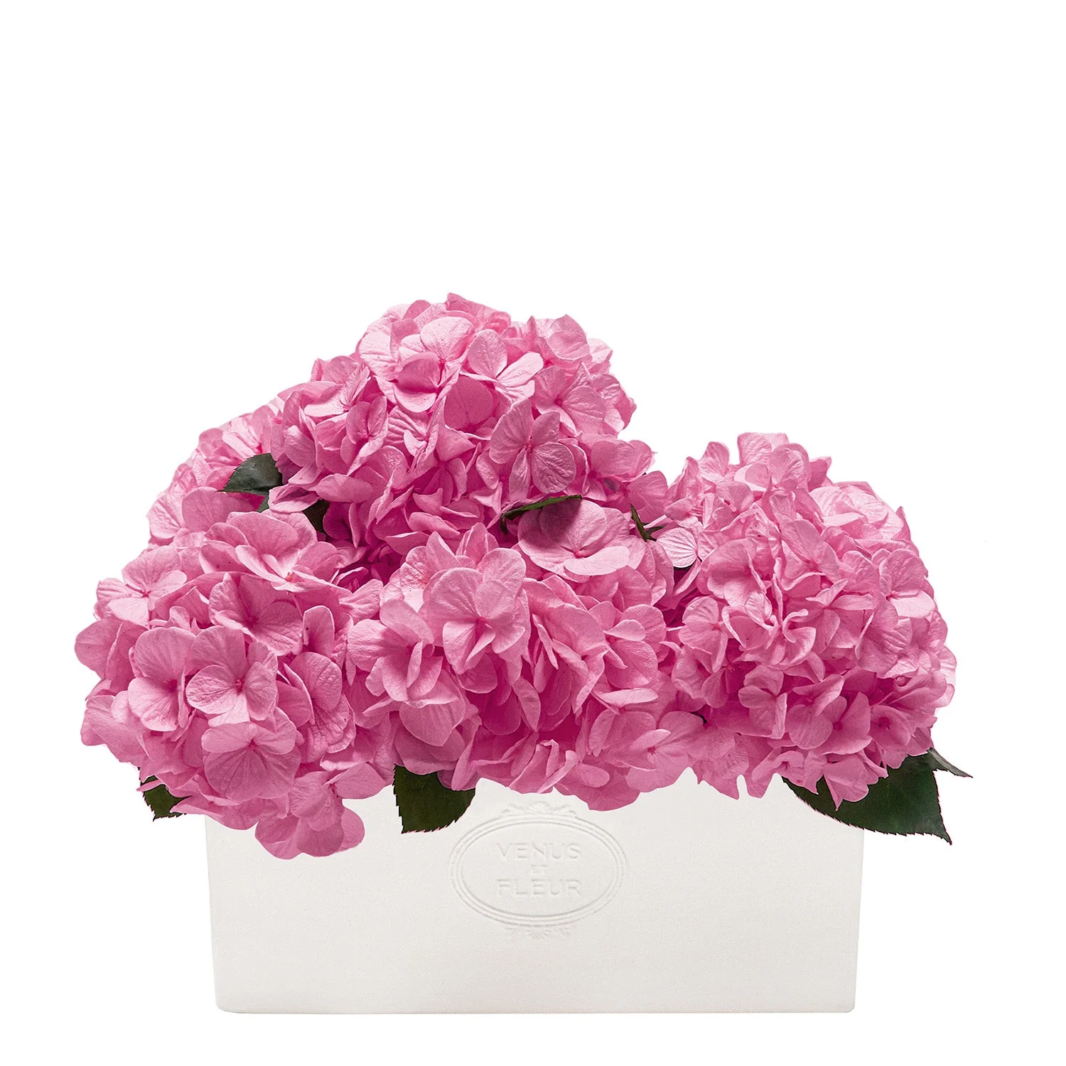 Serene Porcelain Vase - Image 3
