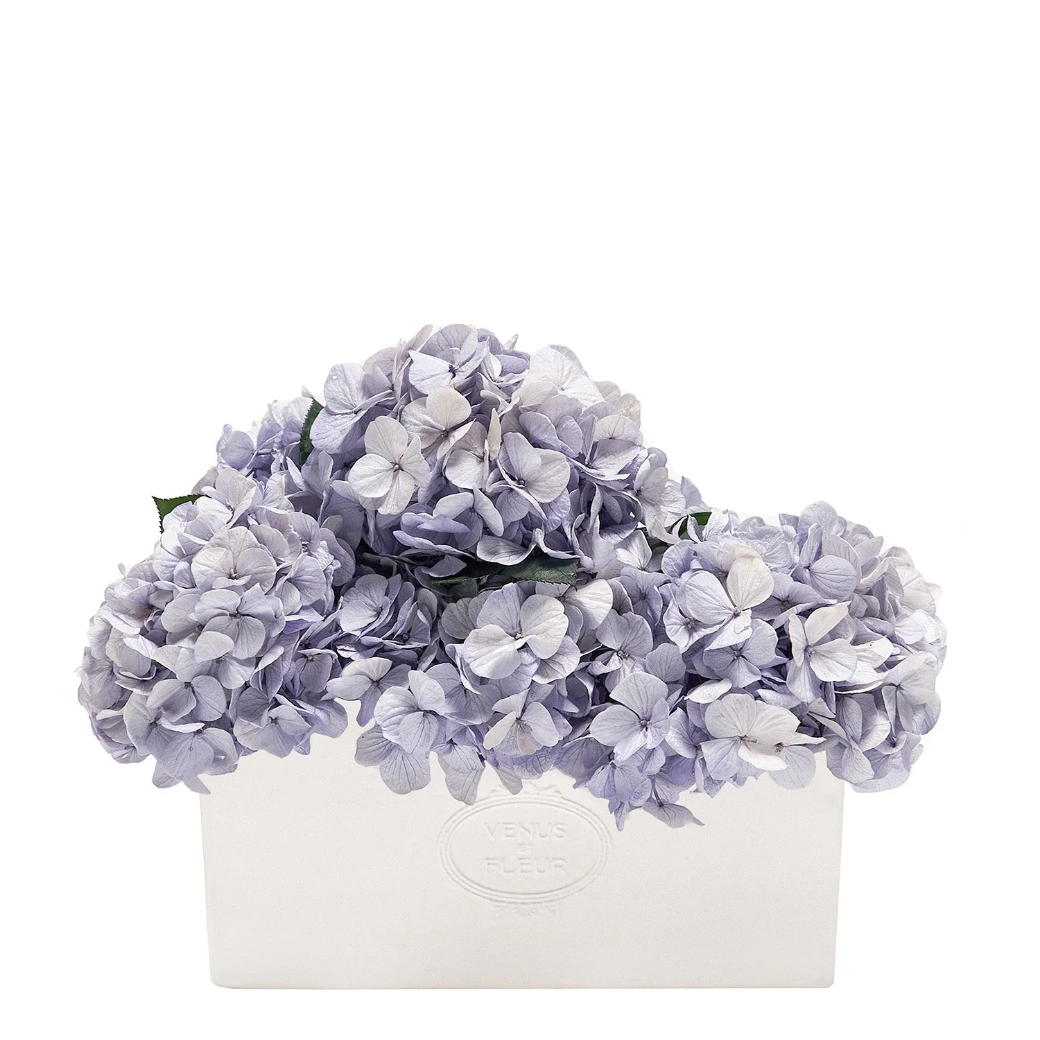 Serene Porcelain Vase - Image 4