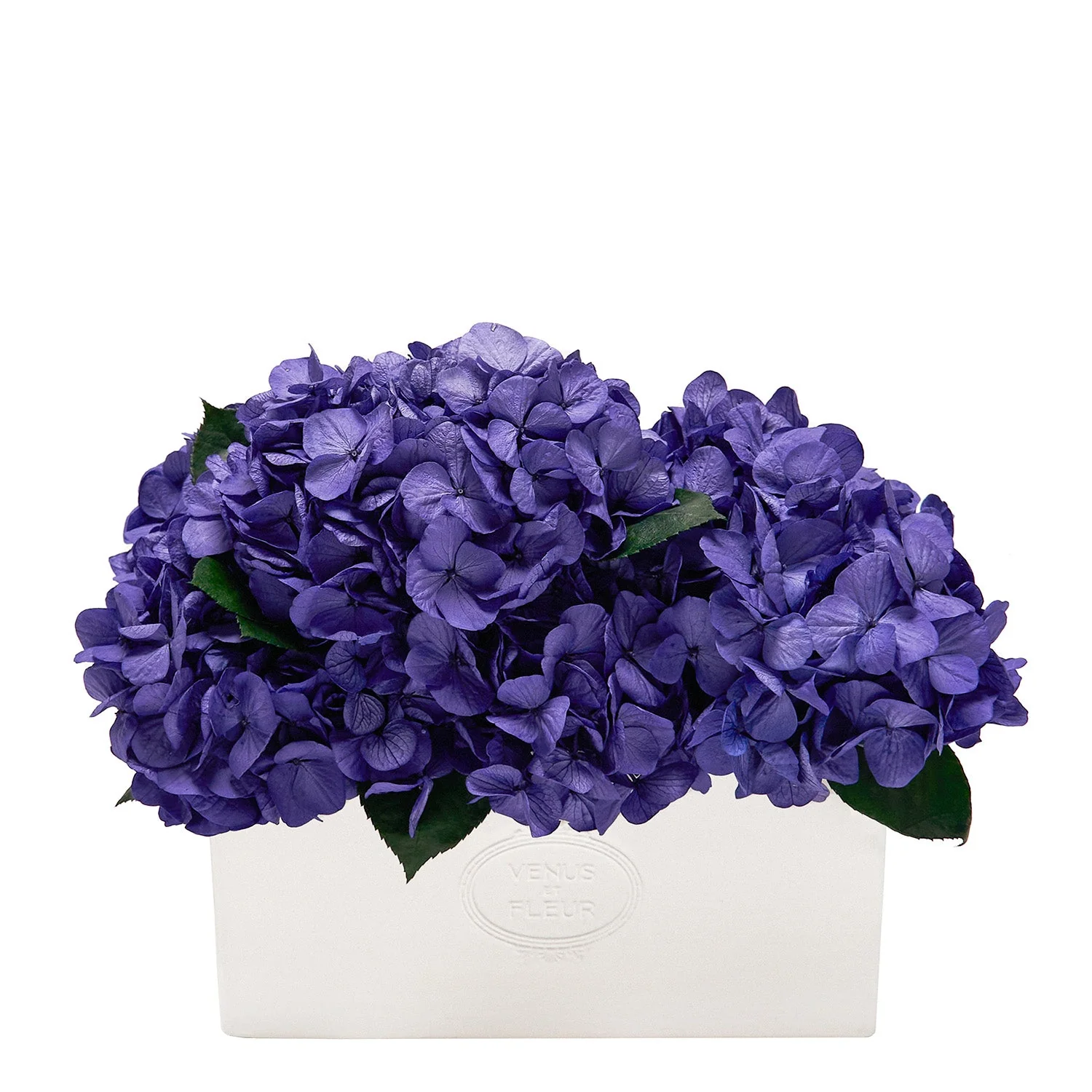 Serene Porcelain Vase - Image 6