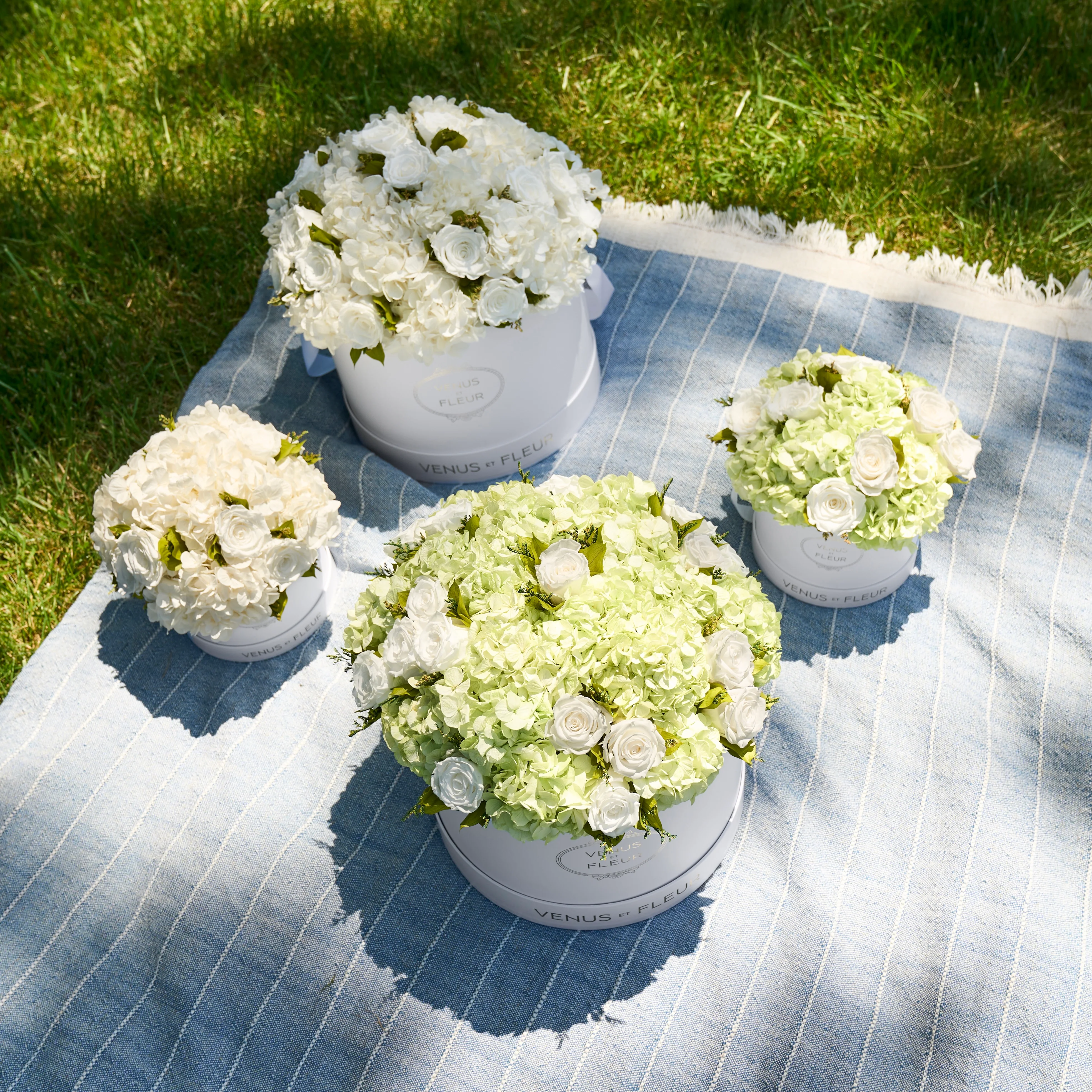 Small Round Roses & Hydrangeas - Image 14