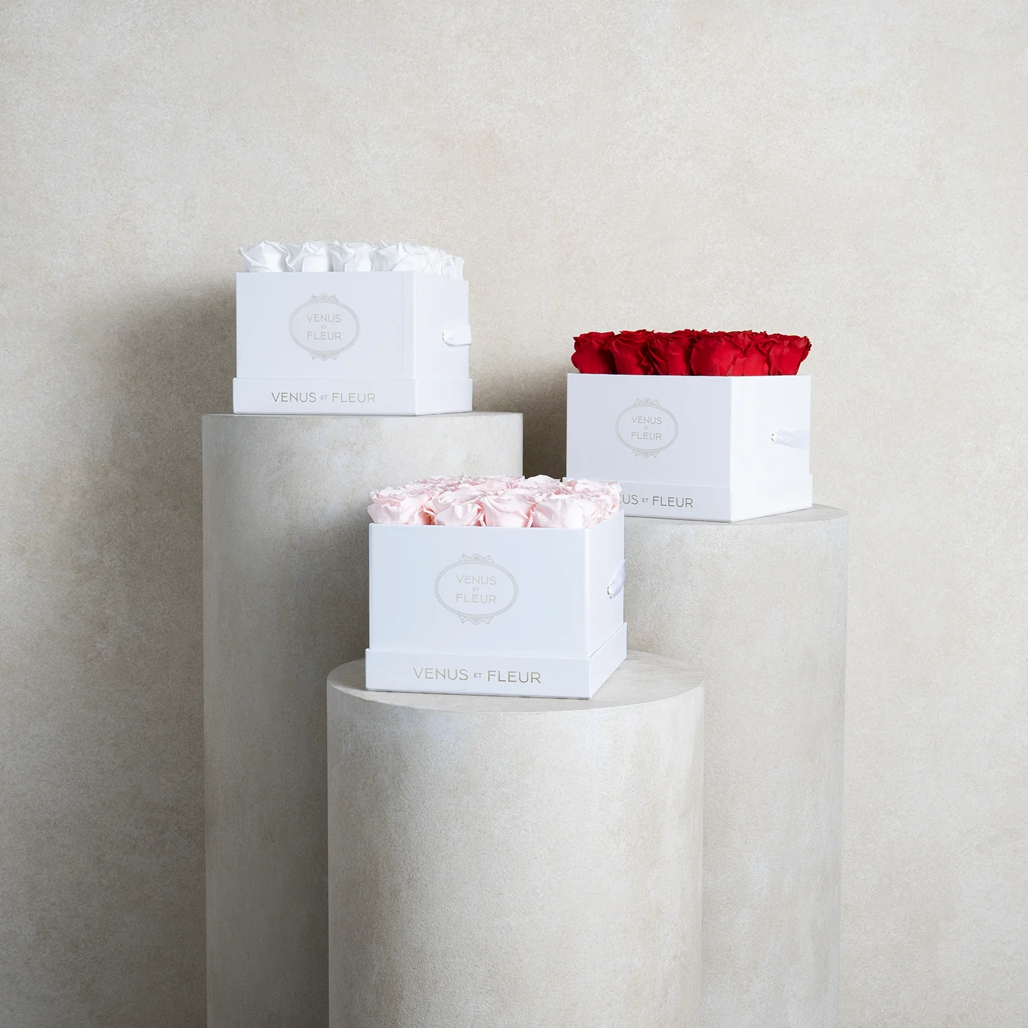 Small Square - Image 3