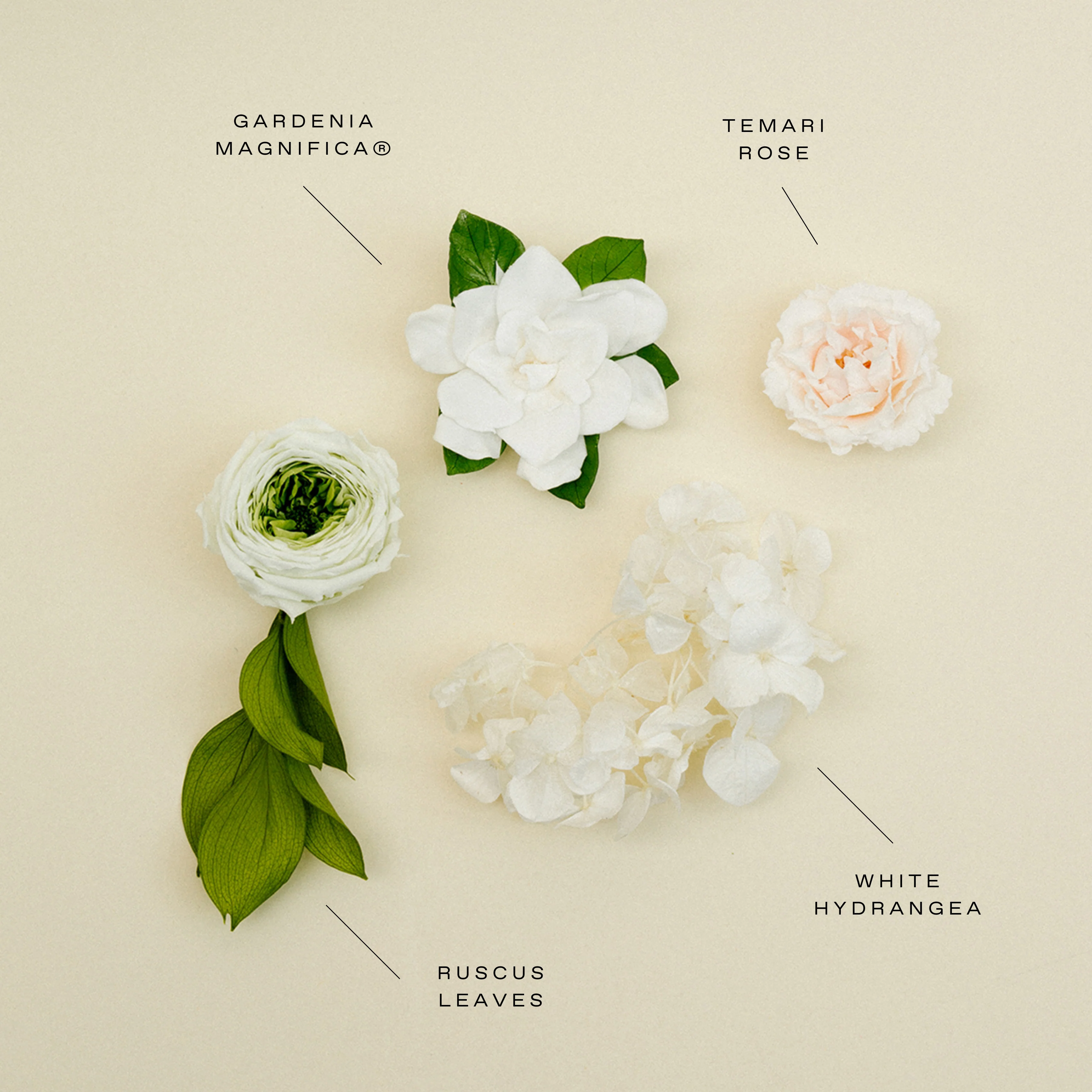 Thalia Porcelain Vase - Image 4