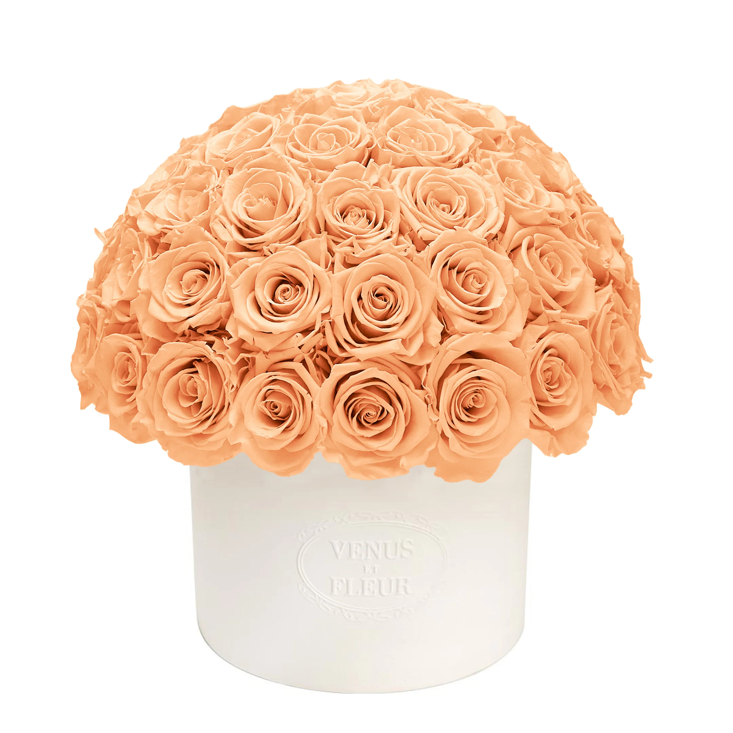 Thalia Porcelain Vase - Image 20