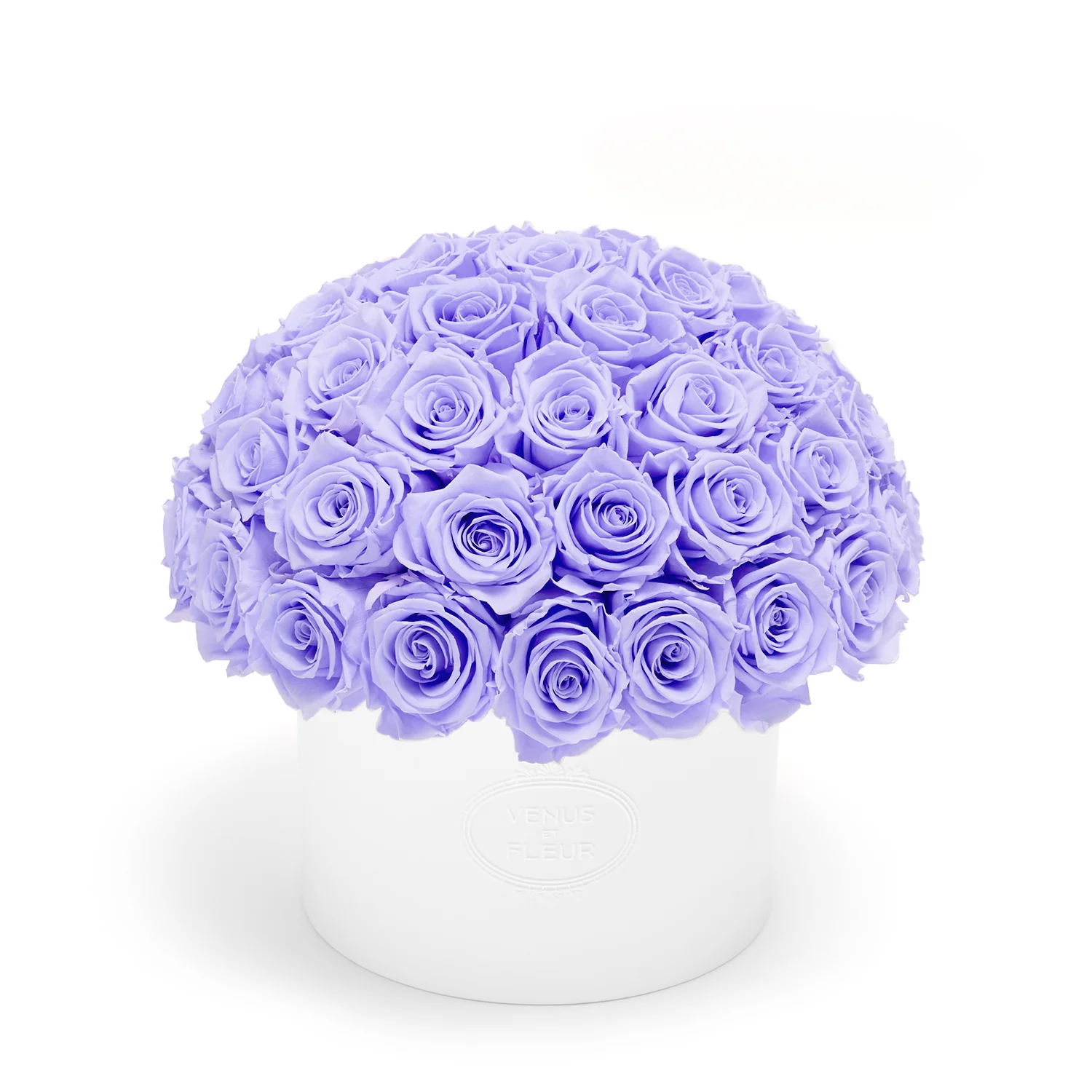 Thalia Porcelain Vase - Image 21