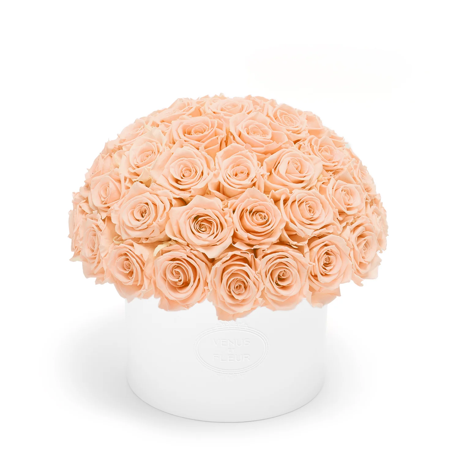 Thalia Porcelain Vase - Image 22