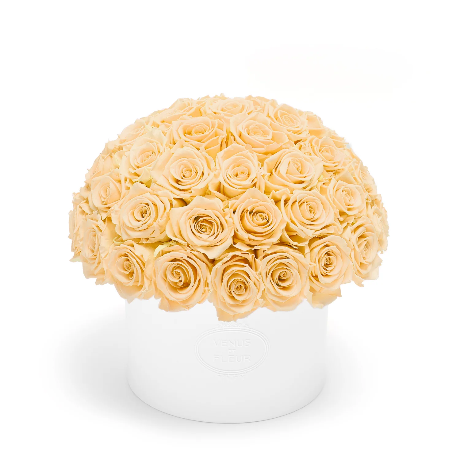 Thalia Porcelain Vase - Image 24