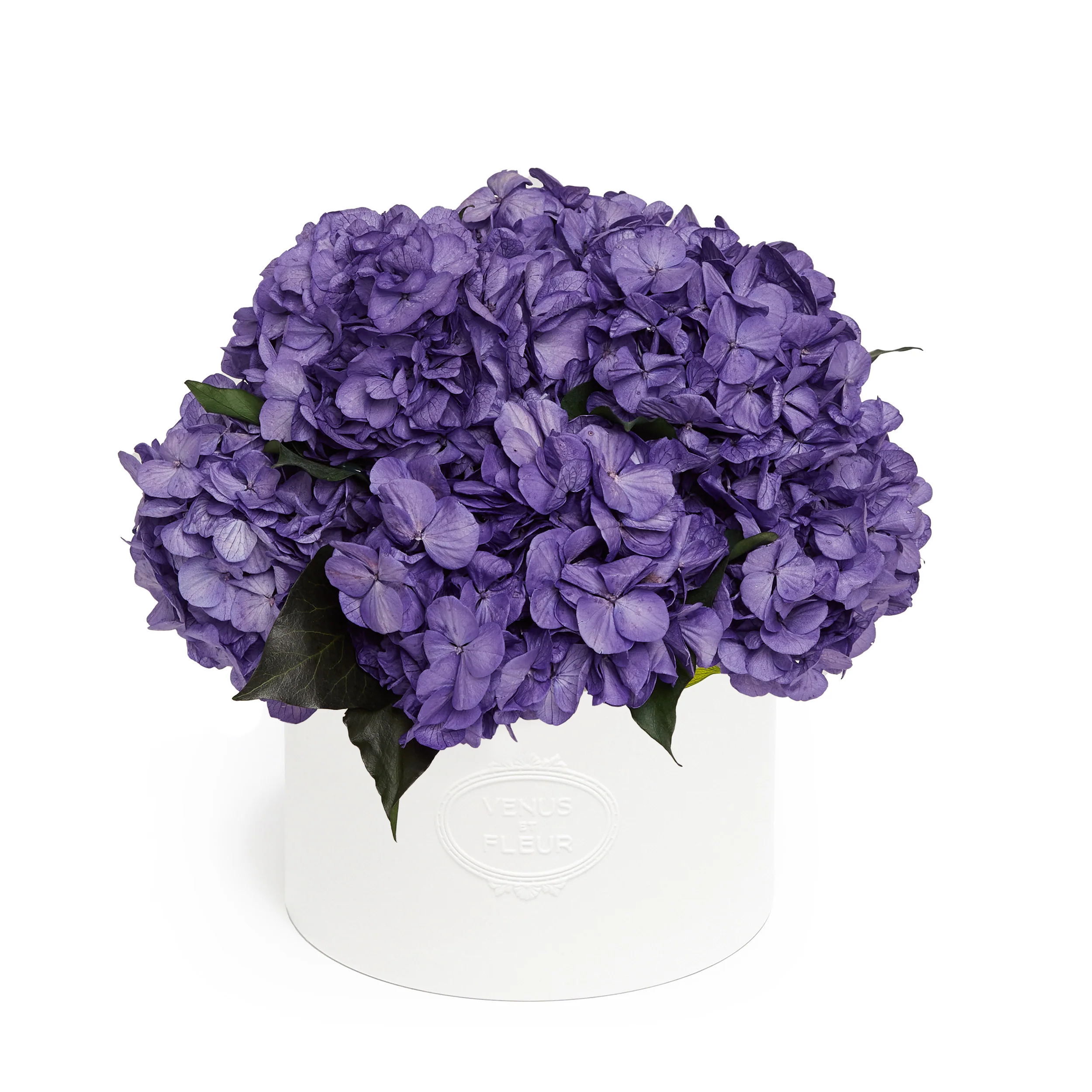 Thalia Porcelain Vase - Image 5