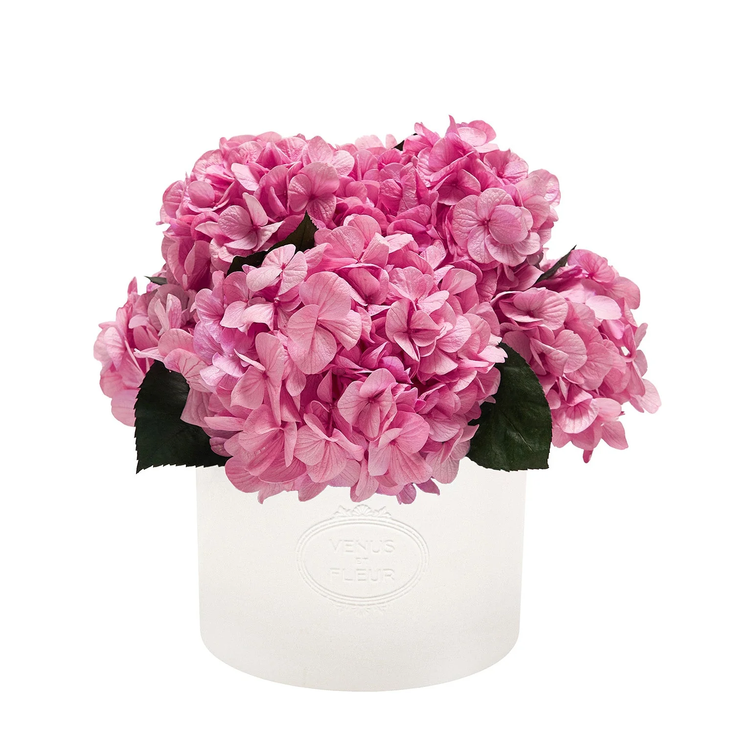 Thalia Porcelain Vase - Image 6